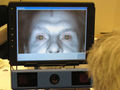 COGAIN2008-SeeTech-eye-tracking.jpg